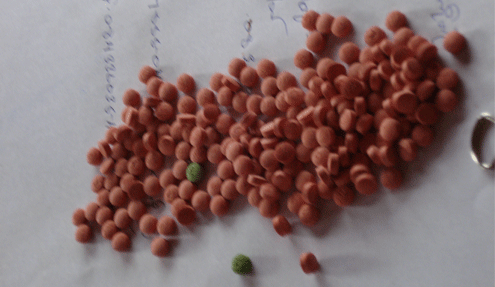 NMSP seized amphetamines in Planjapan Village, near Three Pagodas Pass ( Photo: IMNA)