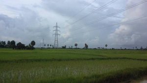 Electricity towers and lines seen across local paddy fields (Photo: Naiaung Naing)