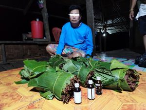 An arrested dealer found with kratom leaves  (photo: MNA)