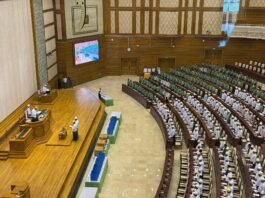 The Role of the Military-Influenced New Government and the MUP