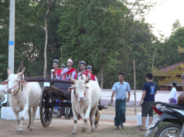 Fewer Visitors Expected at Chaungzon Pagoda Festivals This Year