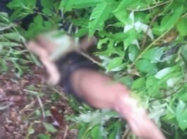 Junta Troops Ambush and Shoot Civilians Along Thanbyuzayat-Anankwin Road